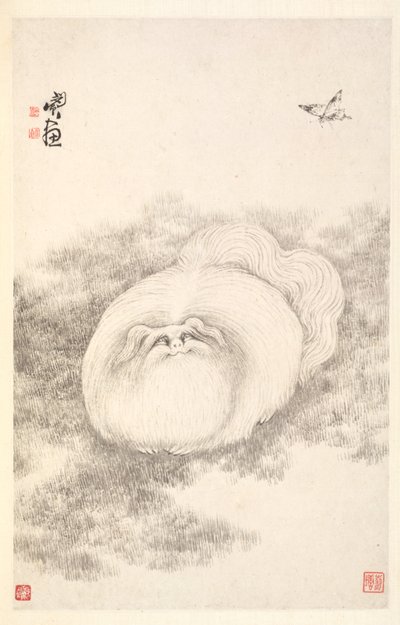 Kat og sommerfugl, 1788. af Min Zhen