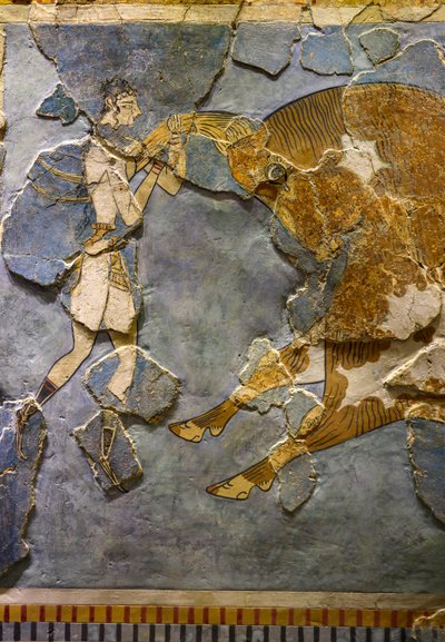 Detalje af Bull Leaping Fresco. Fundet i Knossos af Minoan