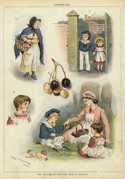 Kirsebær (chromolitho) af Miss Eliza F. Manning