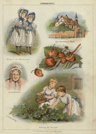 Jordbær (chromolitho) af Miss Eliza F. Manning