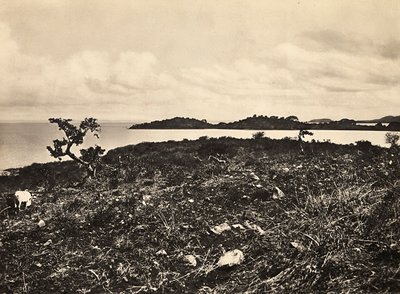 Opbygning af et imperium i den fascistiske tidsalder: Lake Tana. Etiopien, 09/05/1936 (s/hvid foto) af Modestino Baldinetti
