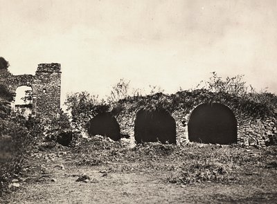 Opbygning af et imperium i den fascistiske tidsalder: løvernes grøft i kong Fasiladas slot i Gondar, Etiopien, 09/05/1936 (s/h foto) af Modestino Baldinetti