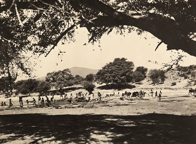 Opbygning af et imperium i den fascistiske tidsalder: brønde i den nedre slette, 09/05/1936 (s/h foto) af Modestino Baldinetti