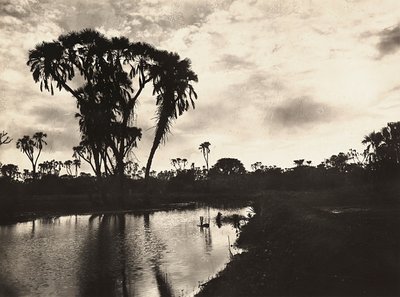 Building an Empire i den fascistiske tidsalder: Western Lower plain, 09/05/1936 (s/h foto) af Modestino Baldinetti