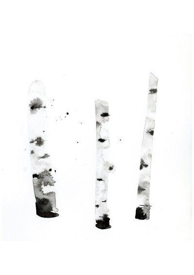 Ghost Birch, 2022 (akvarel på Langton, 300 gsm koldpresset papir) af Monica Perez Vega