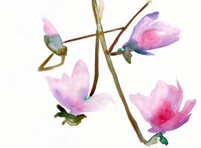 Magnolia 1, 2022 (akvarel på Langton, 300 gsm koldpresset papir) af Monica Perez Vega