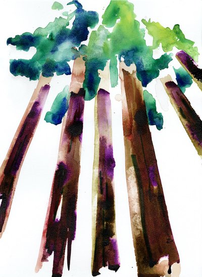 Sequoia, 2021 (akvarel på Langton, 300 gsm koldpresset papir) af Monica Perez Vega