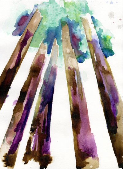 Sequoia 3, 2021 (akvarel på Langton, 300 gsm koldpresset papir) af Monica Perez Vega