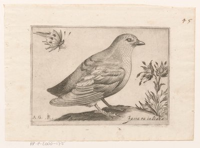 Vogel Passra Indiana (titel på objekt) Vogels (serietitel) af Monogrammist AG