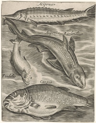 Studieblad met vissen Fisk live-ikoner (serietitel) af Monogrammist P+P