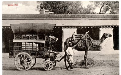 Camel Dak, ca. 1911-12 (sepia foto) af Moorli Dhur and Sons