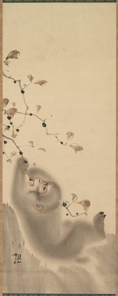 Abe hænger på en gren, 1780. af Mori Sosen