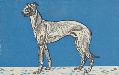 Greyhound, 1912. af Moritz Jung
