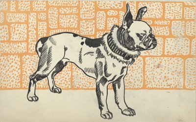 Pitbull Terrier, 1912. af Moritz Jung