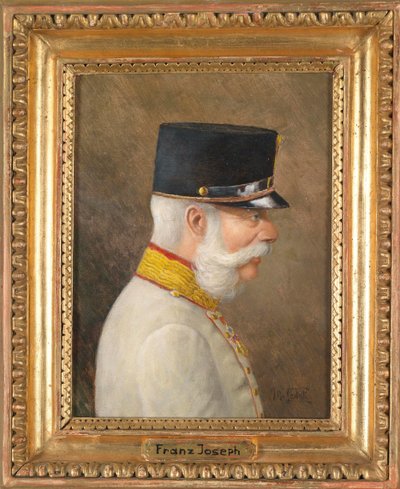 Portræt af Franz Joseph I fra Østrig af Moritz Ledeli