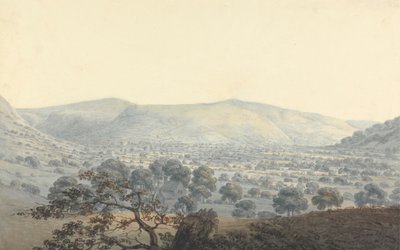 Fjernsyn over Llandrillo af Moses Griffith