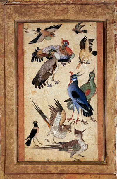 Ti fugle. Miniaturemaleri ved gouache af skolemoghole af Mughal School