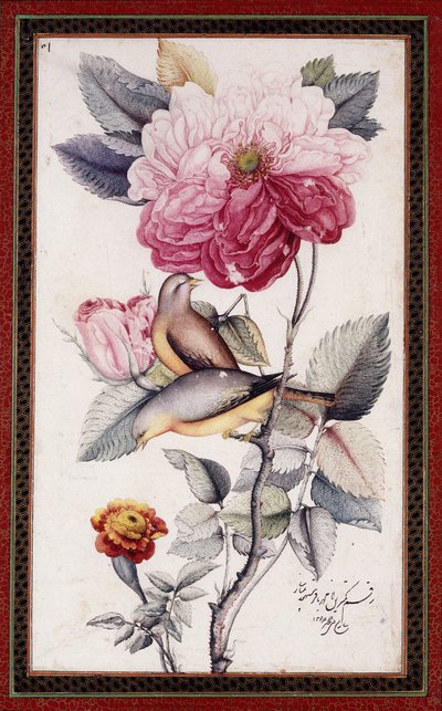 Gul-o Bulbul, ca. 1849-50 (akvarel på papir) af Muhammad Baqir