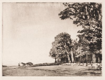 Hampstead Heath af Muirhead Bone