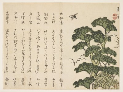Stort træ og fugle, ca.1830-44 (farve-træsnit) af Murata Kagen