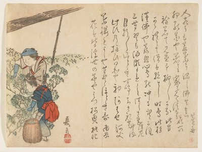 Teplukkere, ca.1830-44 (farve-træsnit) af Murata Kagen