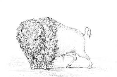 Buffalo, 1841. af Myers and Co