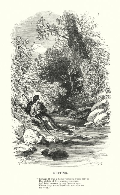 William Wordsworth: Nutting (gravering) af Myles Birket (after) Foster