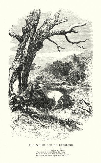 William Wordsworth: The White Doe of Rylstone (gravering) af Myles Birket (after) Foster