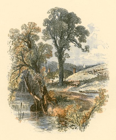 Naturens skønheder af Myles Birket Foster
