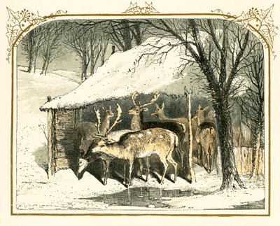 Hjorte i sneen af Myles Birket Foster