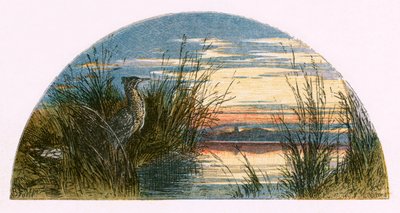 Illustration til "Den forladte landsby af Myles Birket Foster