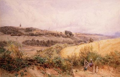 Sommerlandskab nær Haslemere, Surrey af Myles Birket Foster