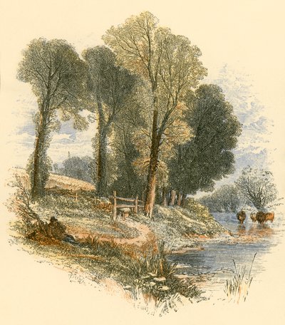 Søndagsvandringer af Myles Birket Foster