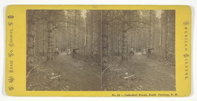 Cathedral Woods, North Conway, N.H., midten af det 19. århundrede. af N.W. Pease