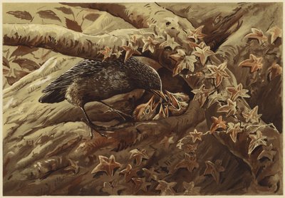 En larmende vuggestue (litho) af N. Parker