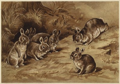 Babykaniner (litho) af N. Parker