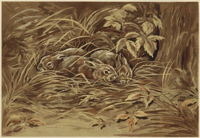 Små harer (litho) af N. Parker
