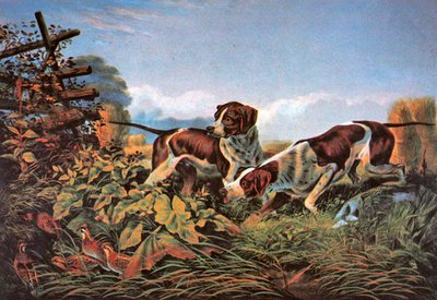 Amerikansk feltsport: On a Point af Currier and Ives