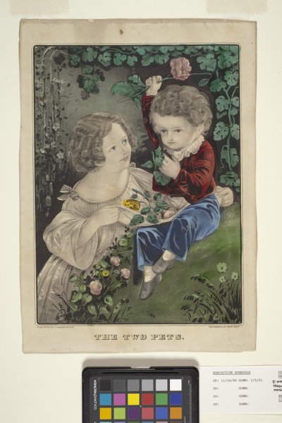 De to kæledyr (håndfarvet litograf) af N. and Ives J.M. (1824-95) Currier