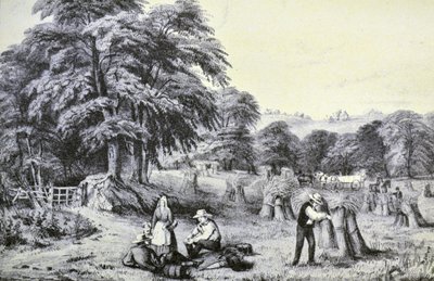 Currier & Ives Illustration 1800-tallet. Høst af N. and Ives, J.M. Currier