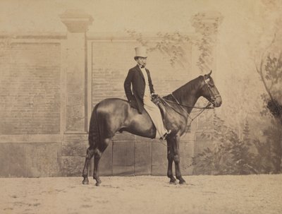 Mand på en hest af Nadar
