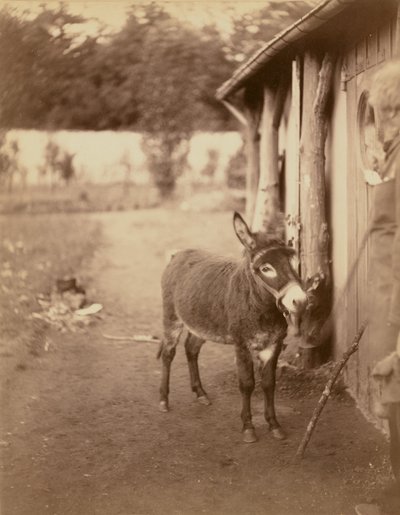 Sénart, Biribi-æselet af Nadar [Gaspard Félix Tournachon]