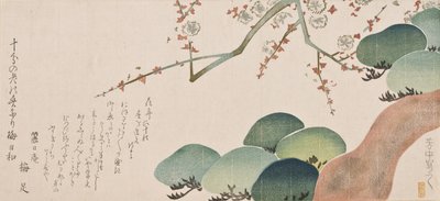 Pine Tree and Plum Blossom, 1810-30 (træbloktryk i farver) af Nakamura Hochu