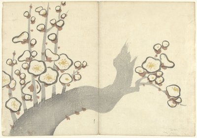 blommeblomst Billedalbum af Korin (serietitel) Korin gafu (serietitel) af Nakamura Hochu
