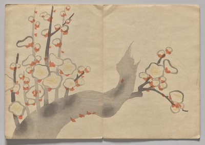 Scene fra The Kōrin Picture Book (bind 2) af Nakamura Hochu