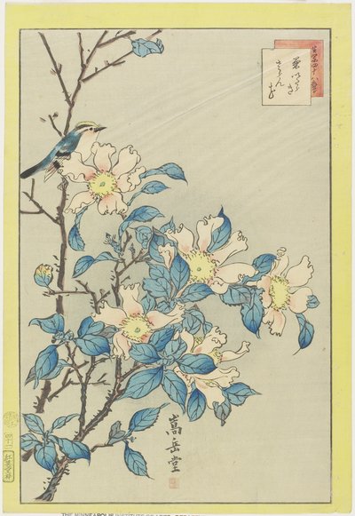 Blå fugl og lyserøde blomster, 1859 (træbloktryk i farver) af Nakayama Sugakudo