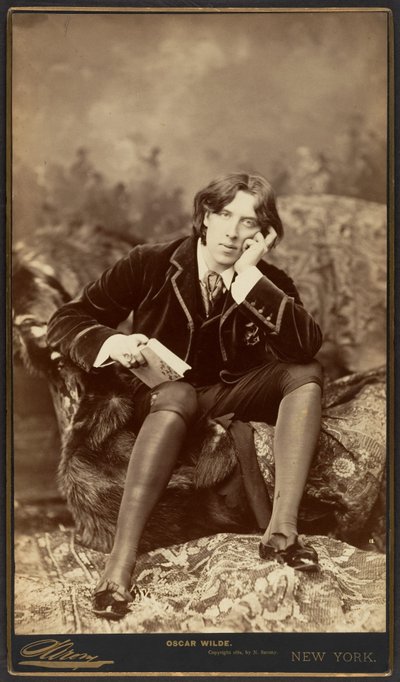 Oscar Wilde, 1882 (albumin sølvtryk) af Napoleon Sarony