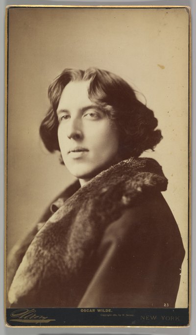 Oscar Wilde, 1882 (albumin sølvtryk) af Napoleon Sarony