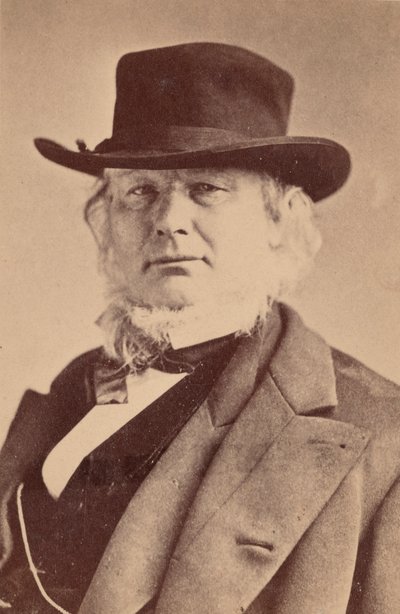 Portræt af Horace Greeley 1811-1872, 1869. af Napoleon Sarony