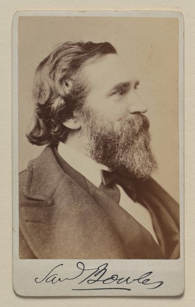 Samuel Bowles II af Napoleon Sarony